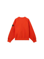 FELPA Verde Bosco Stone Island