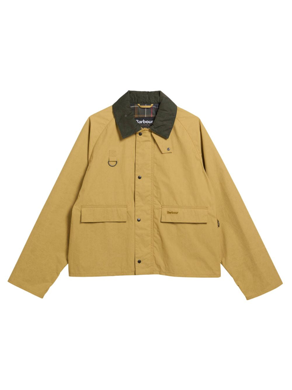 GIACCA Giallo Barbour