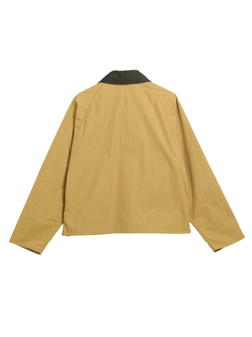 GIACCA Giallo Barbour