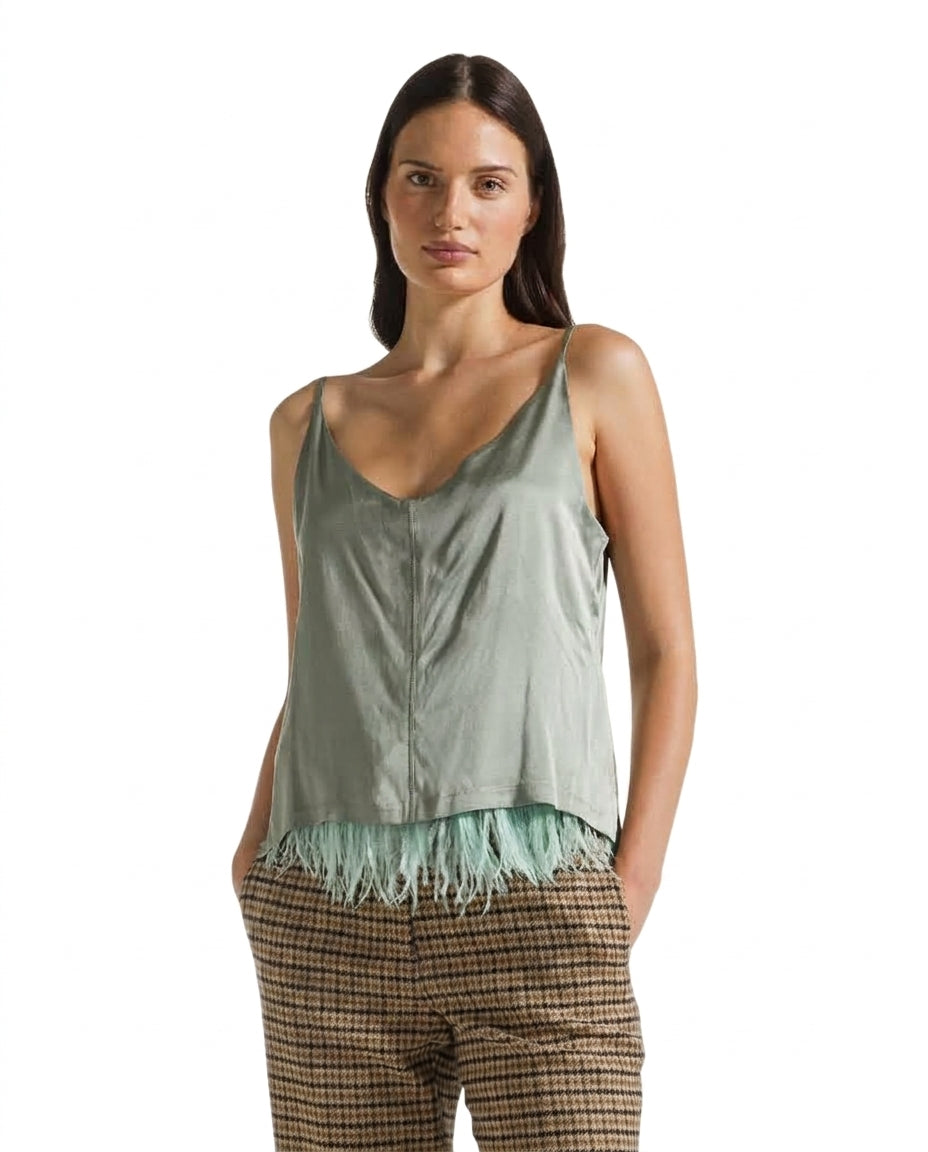 TOP Salvia Seventy