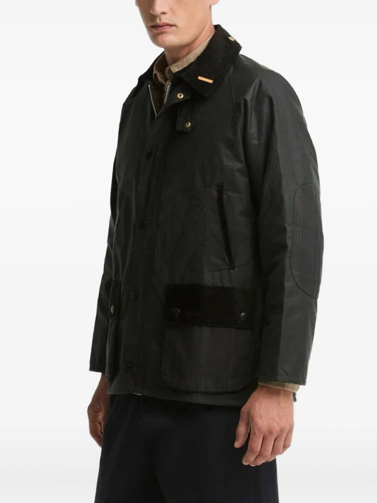 GIACCA Salvia Barbour