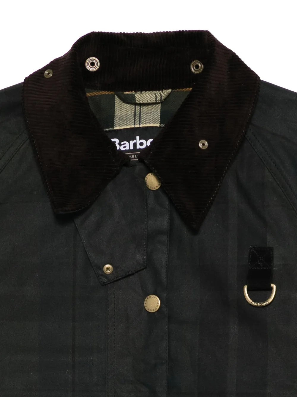 GIACCA Tartan Barbour