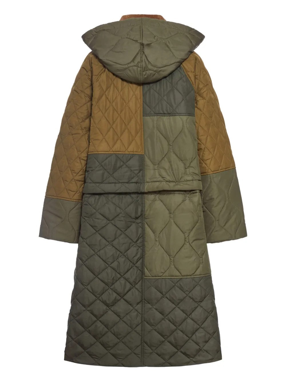 GIACCA Salvia Barbour