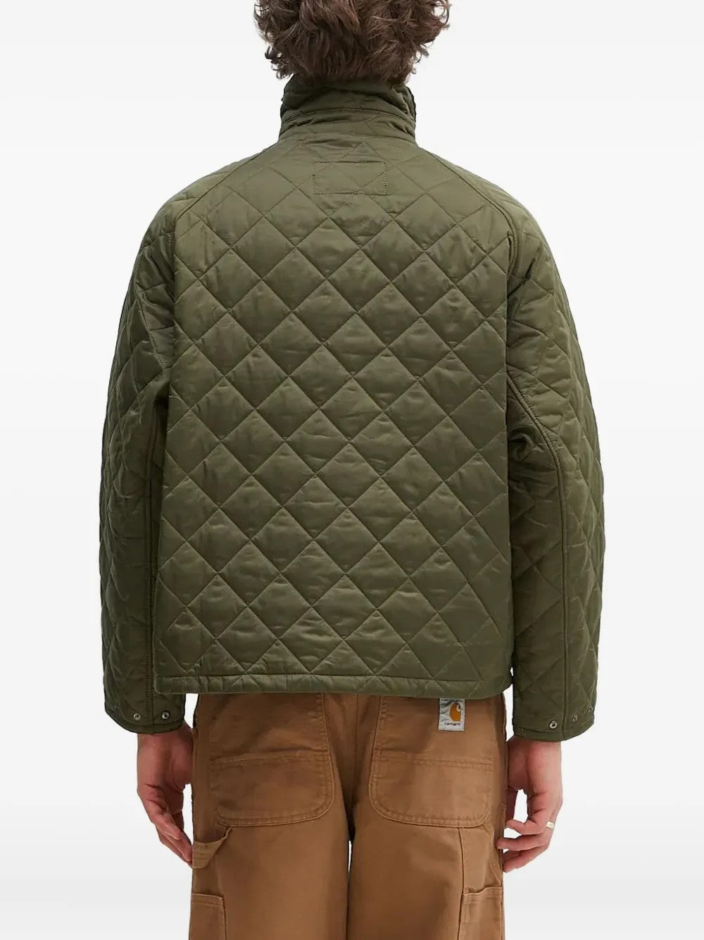 GIACCA Salvia Barbour
