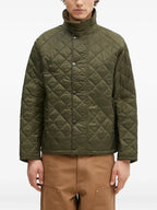 GIACCA Salvia Barbour