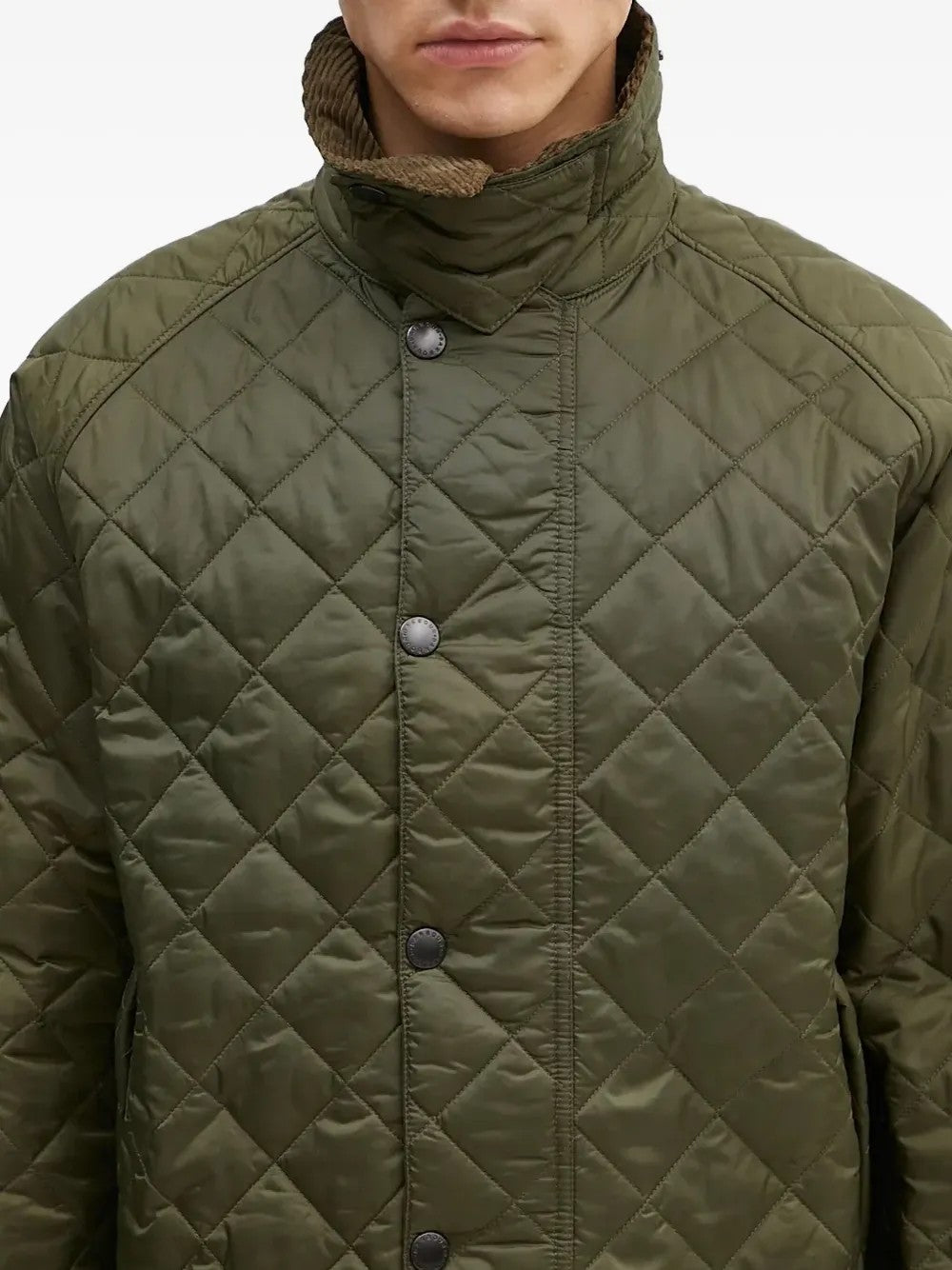 GIACCA Salvia Barbour