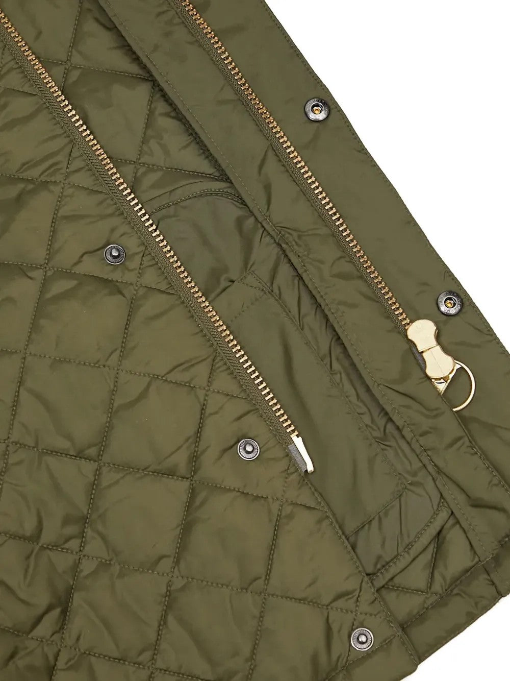 GIACCA Salvia Barbour