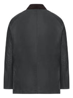 GIACCA Salvia Barbour