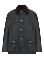 GIACCA Salvia Barbour