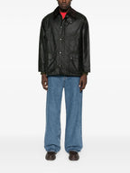 GIACCA Salvia Barbour