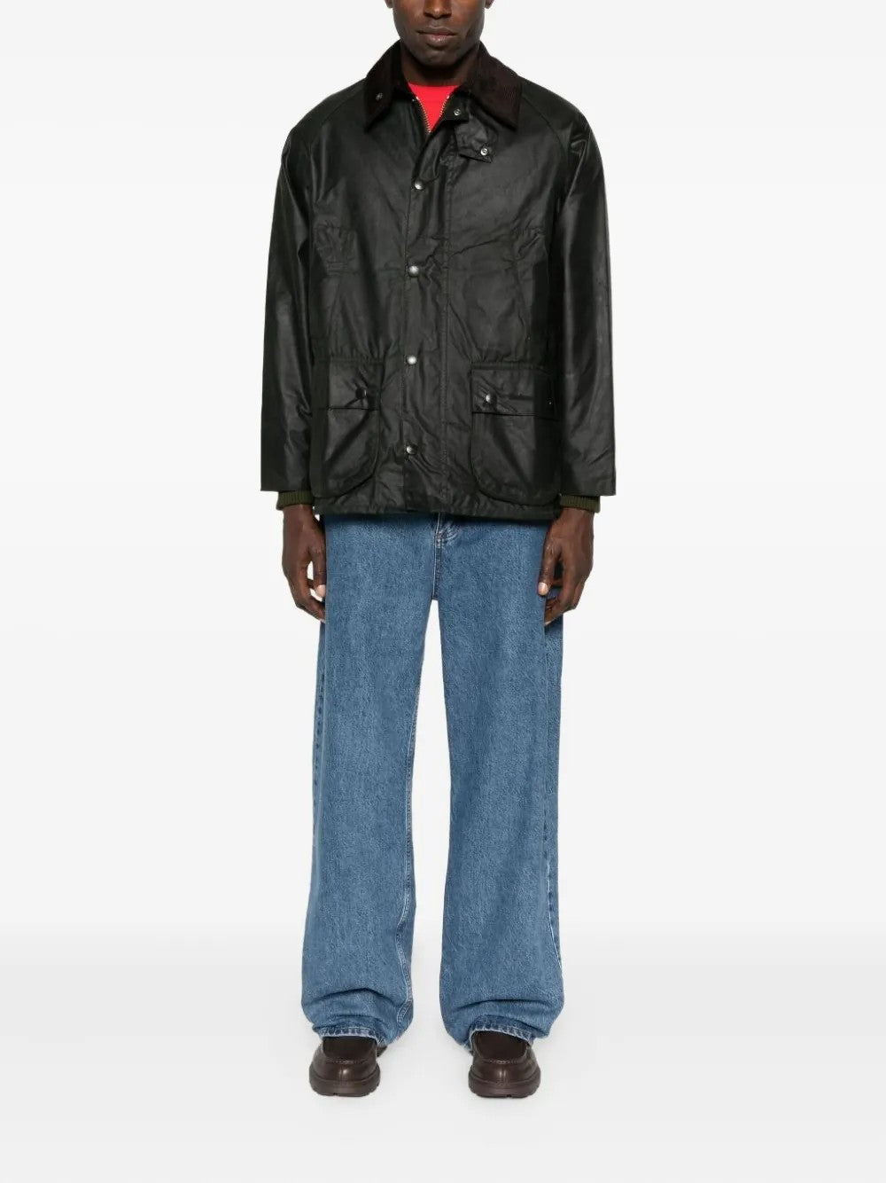 GIACCA Salvia Barbour