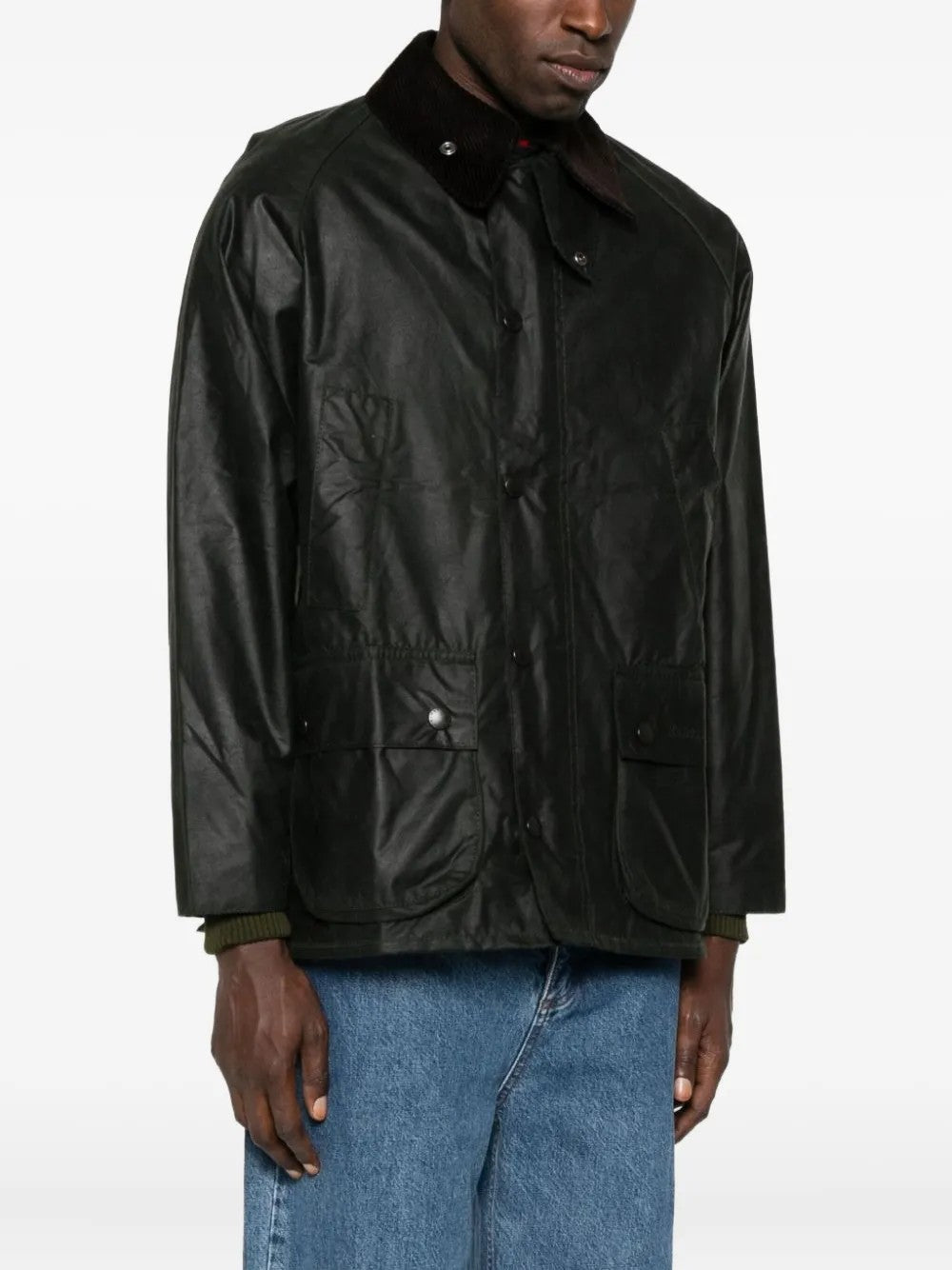 GIACCA Salvia Barbour