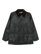 GIACCA Salvia Barbour