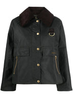 GIACCA Salvia Barbour
