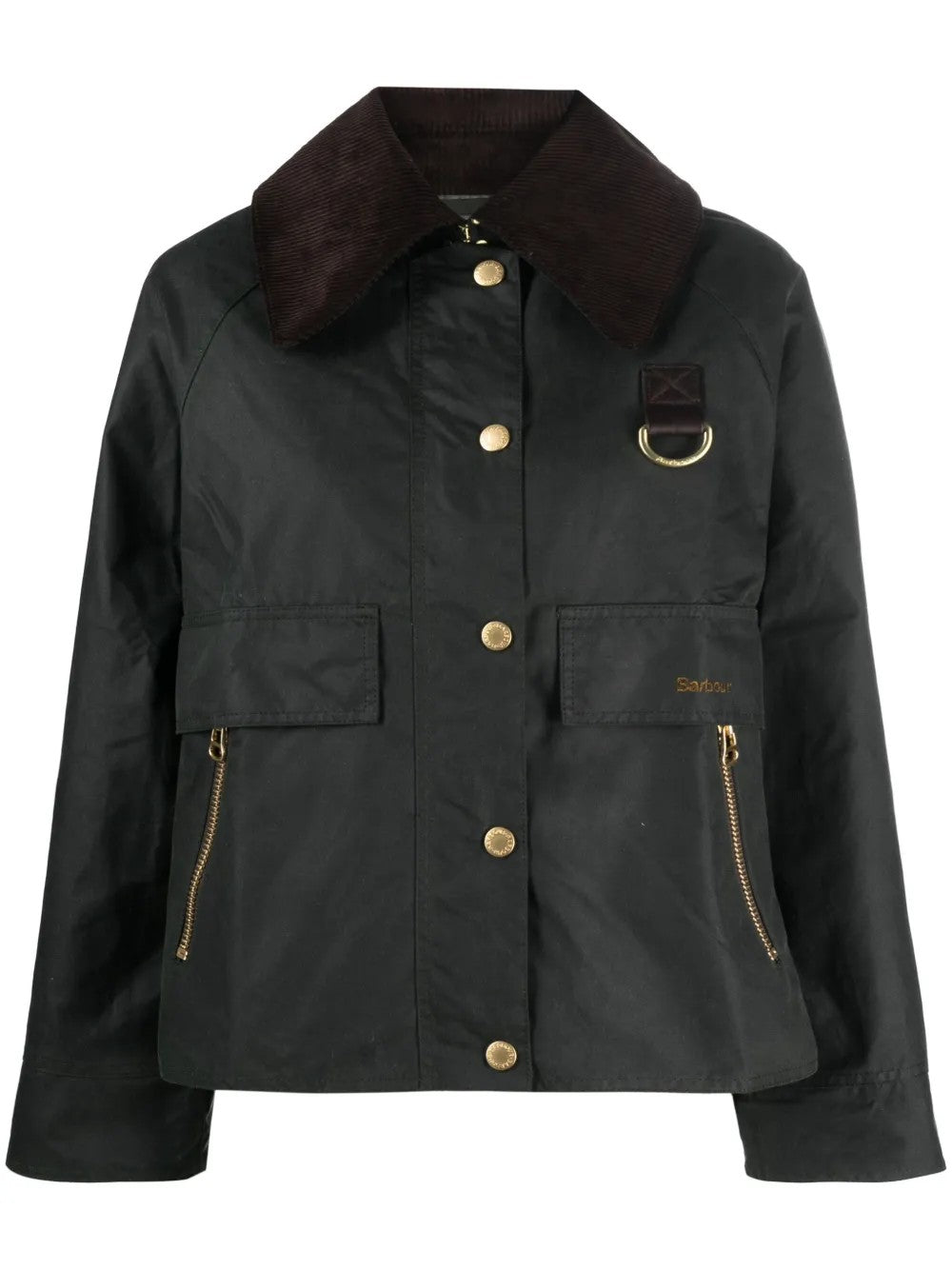 GIACCA Salvia Barbour