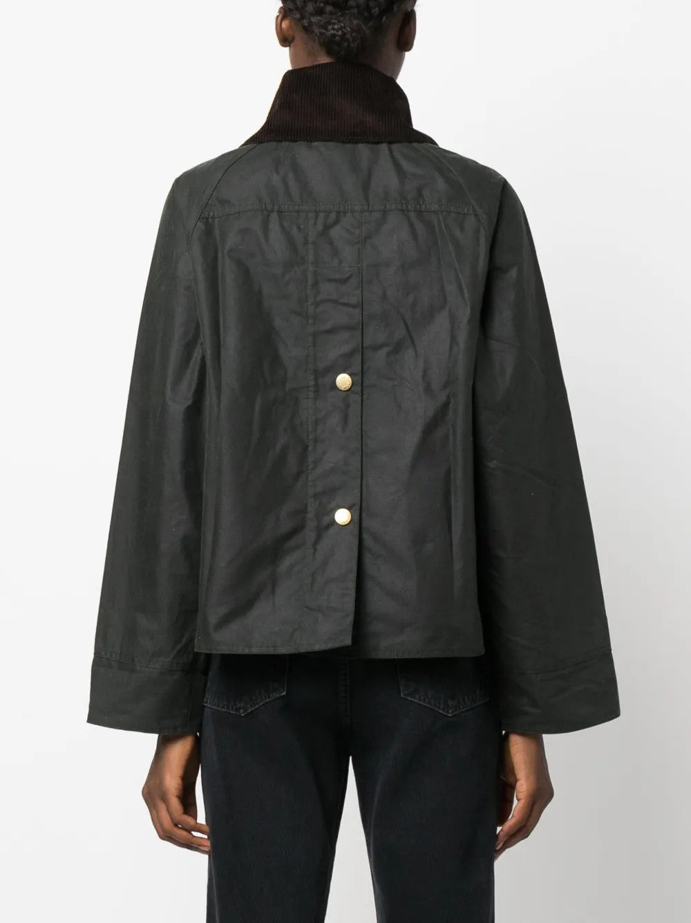 GIACCA Salvia Barbour