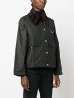 GIACCA Salvia Barbour