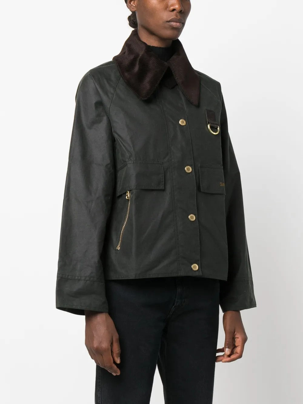 GIACCA Salvia Barbour