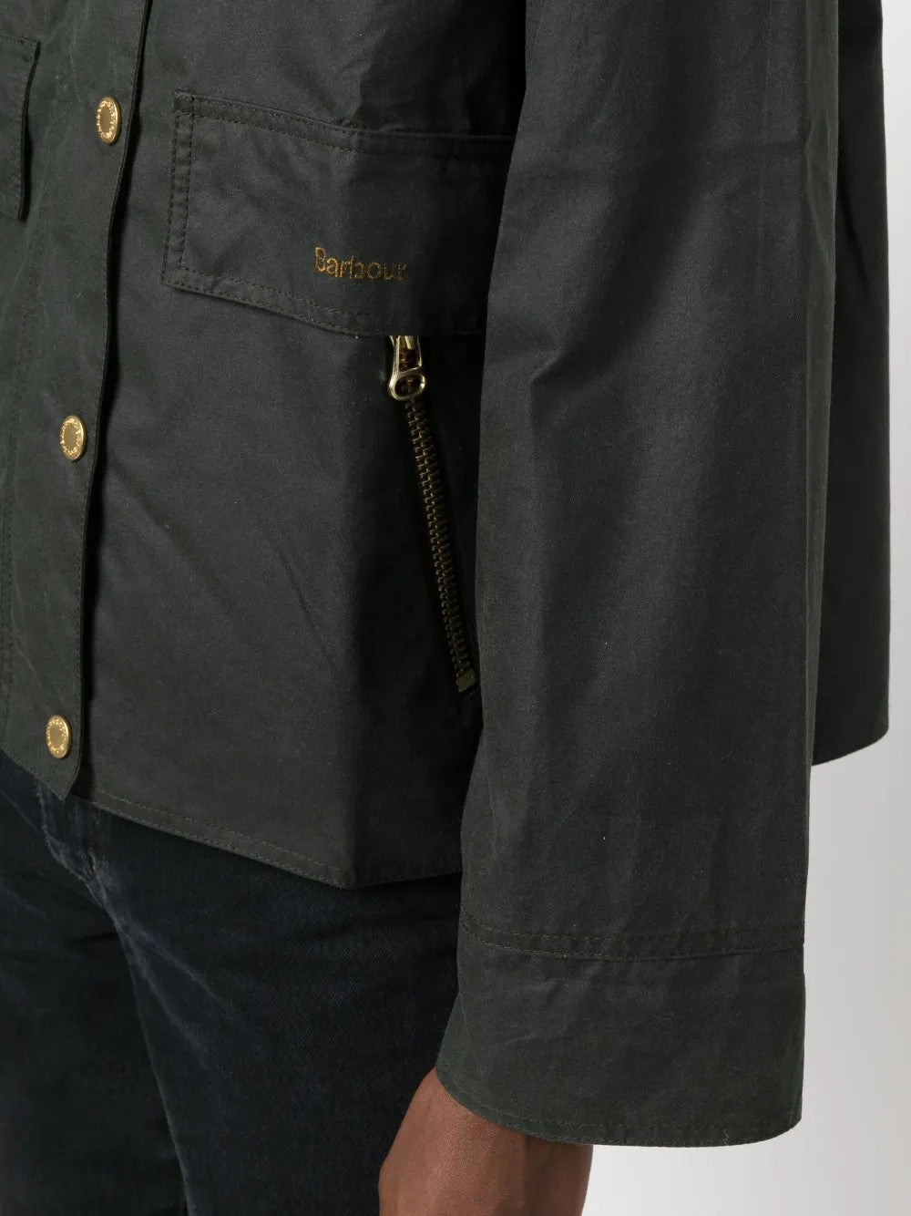 GIACCA Salvia Barbour