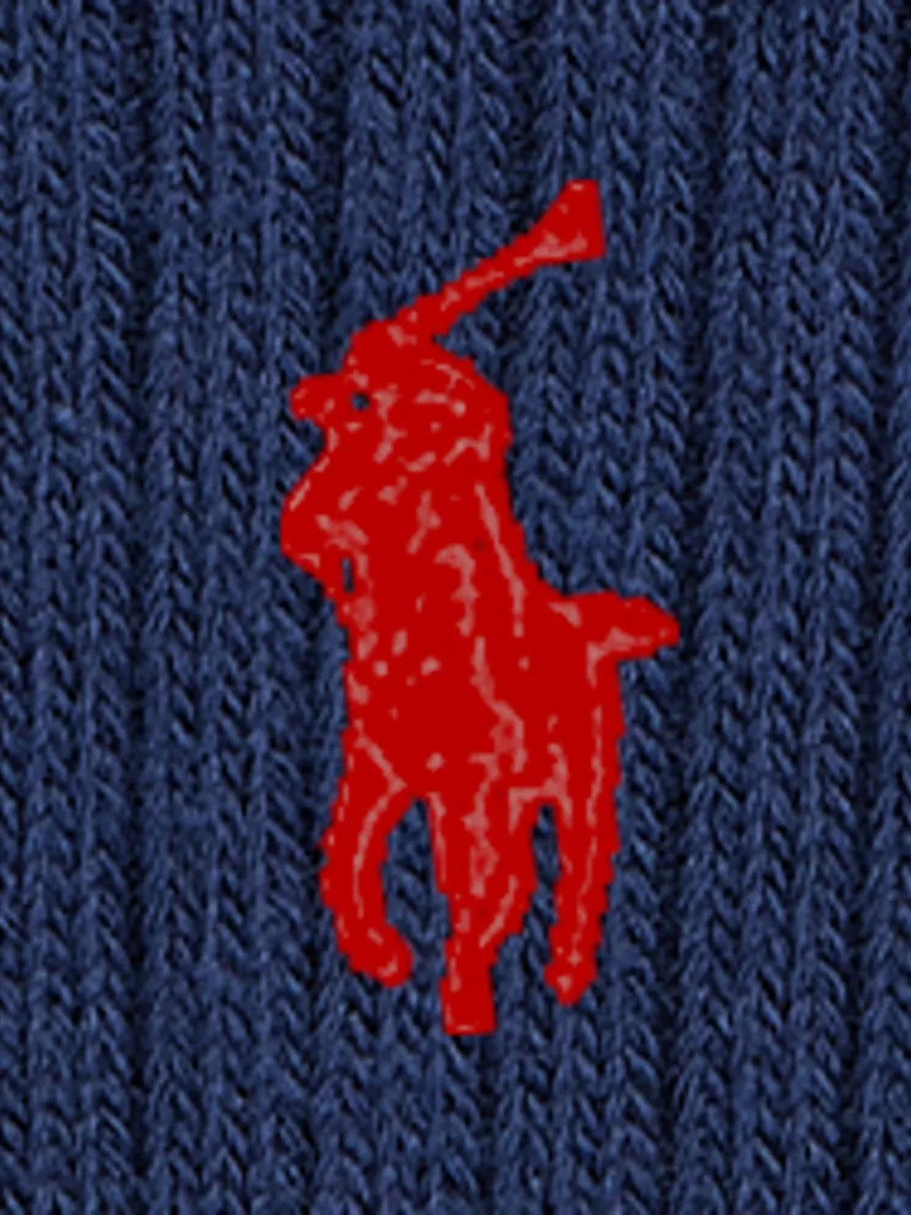CALZINO Blu Polo Ralph Lauren
