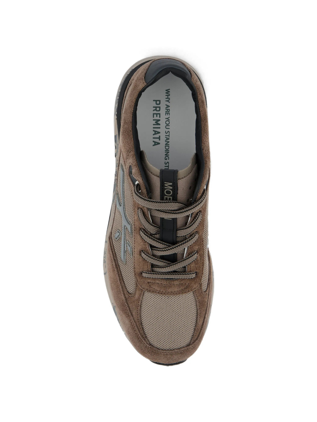 SNEAKER Tortora Premiata