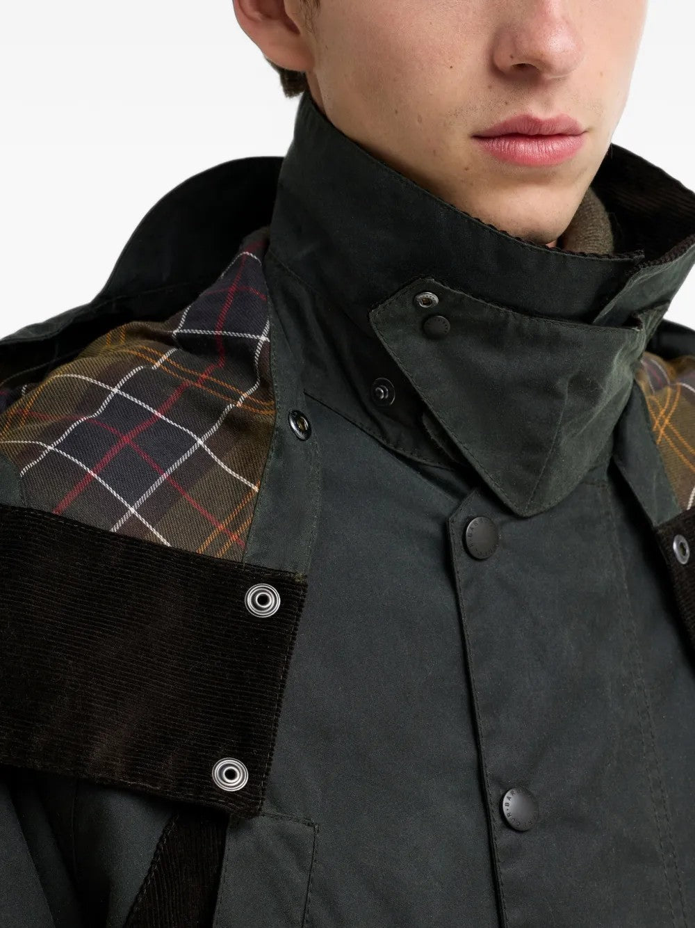 GIACCA Salvia Barbour