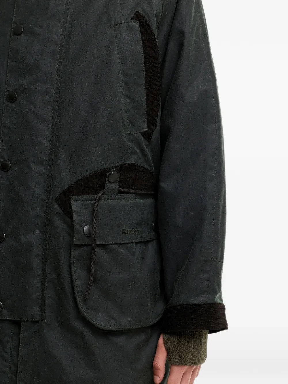 GIACCA Salvia Barbour
