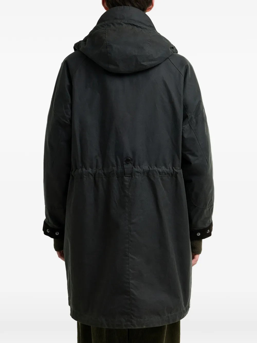 GIACCA Salvia Barbour