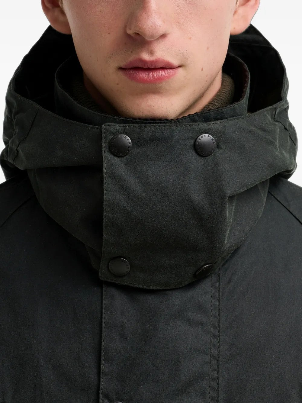 GIACCA Salvia Barbour
