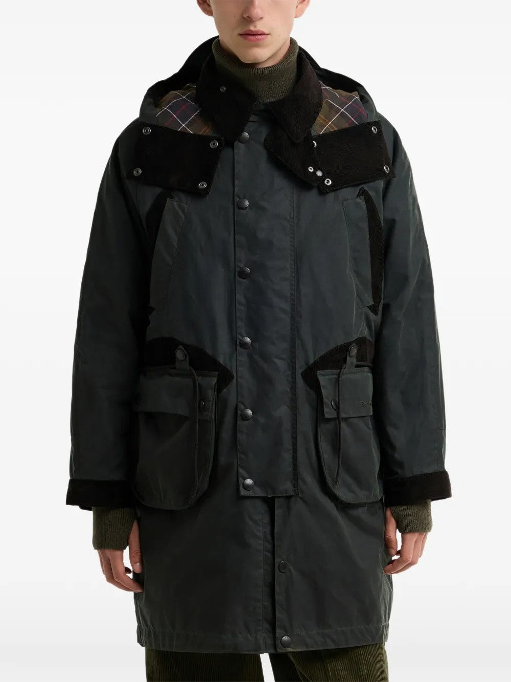 GIACCA Salvia Barbour