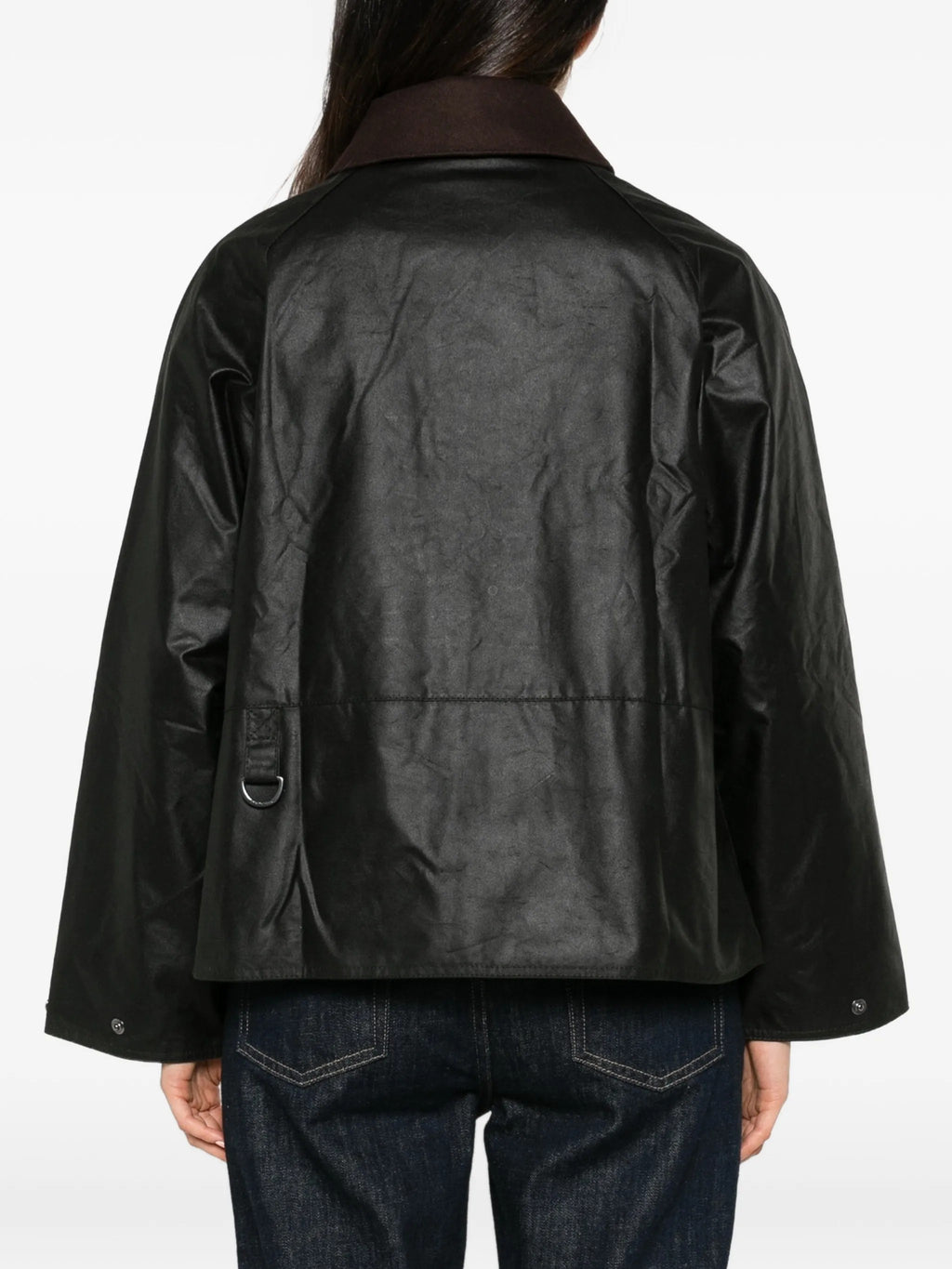 GIACCA Salvia Barbour