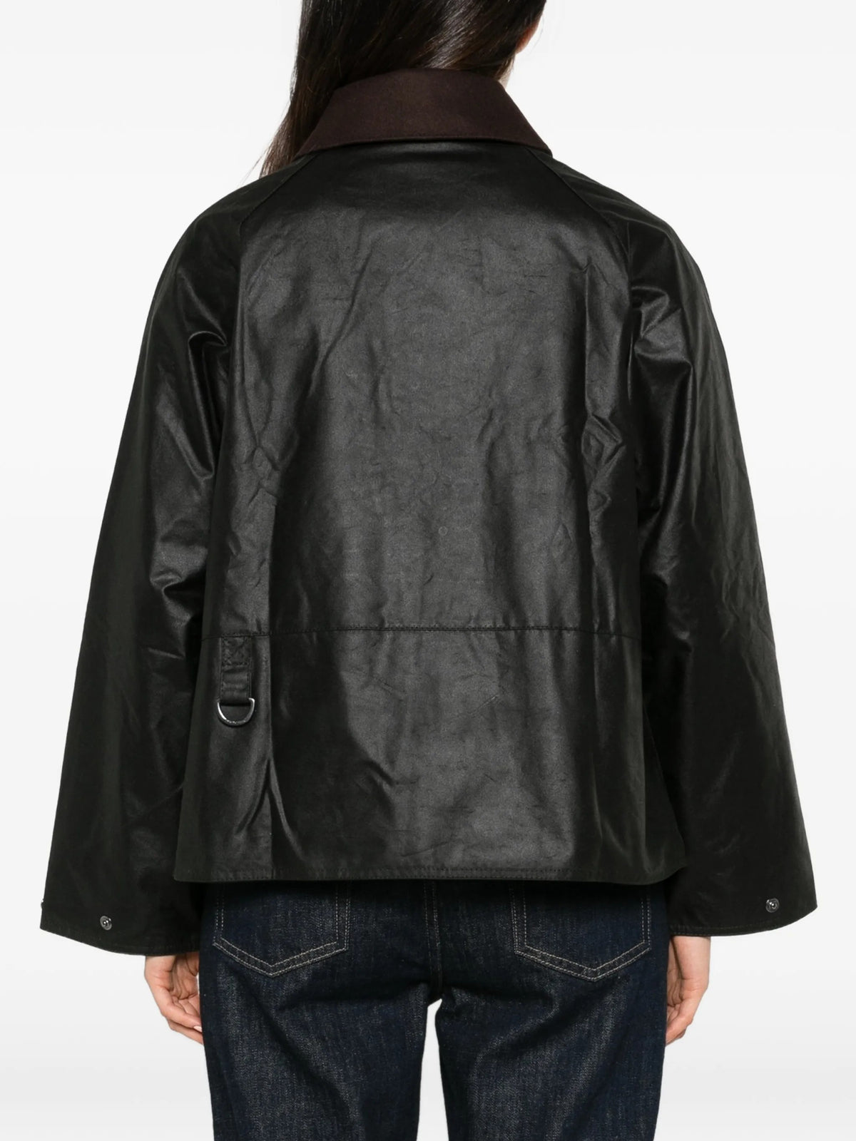 GIACCA Salvia Barbour
