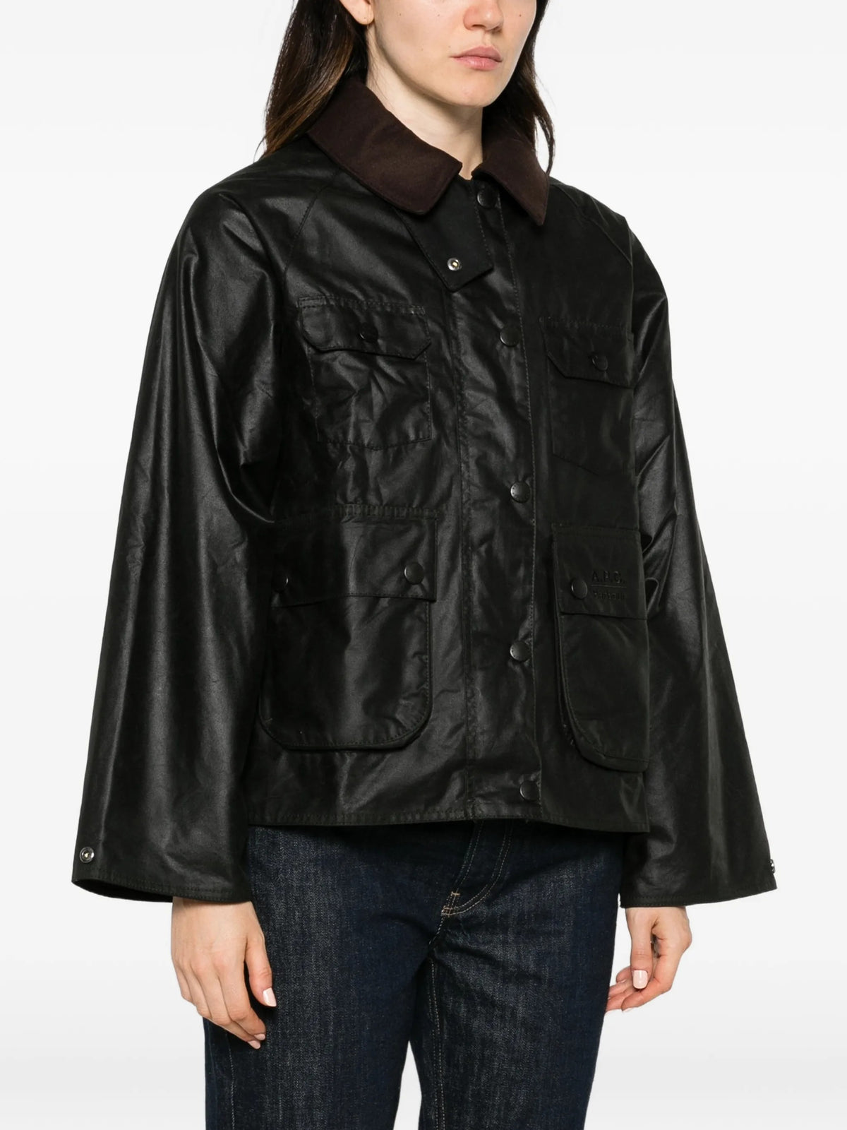 GIACCA Salvia Barbour