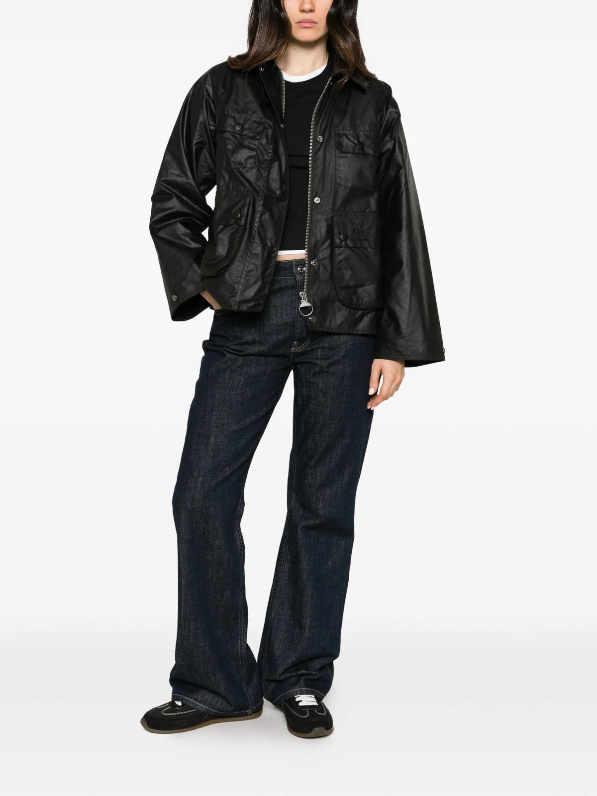 GIACCA Salvia Barbour