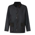 GIACCA Salvia Barbour