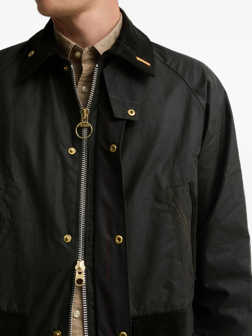 GIACCA Salvia Barbour