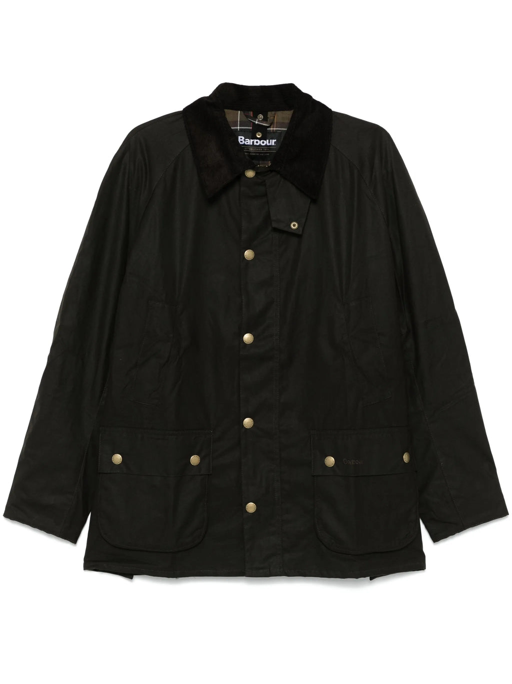 GIACCA Verde Oliva Barbour