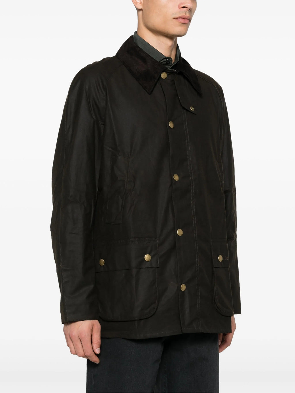 GIACCA Verde Oliva Barbour