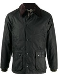 GIACCA Salvia Barbour