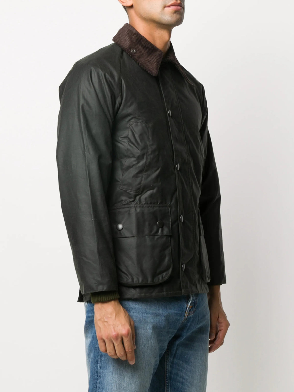 GIACCA Salvia Barbour