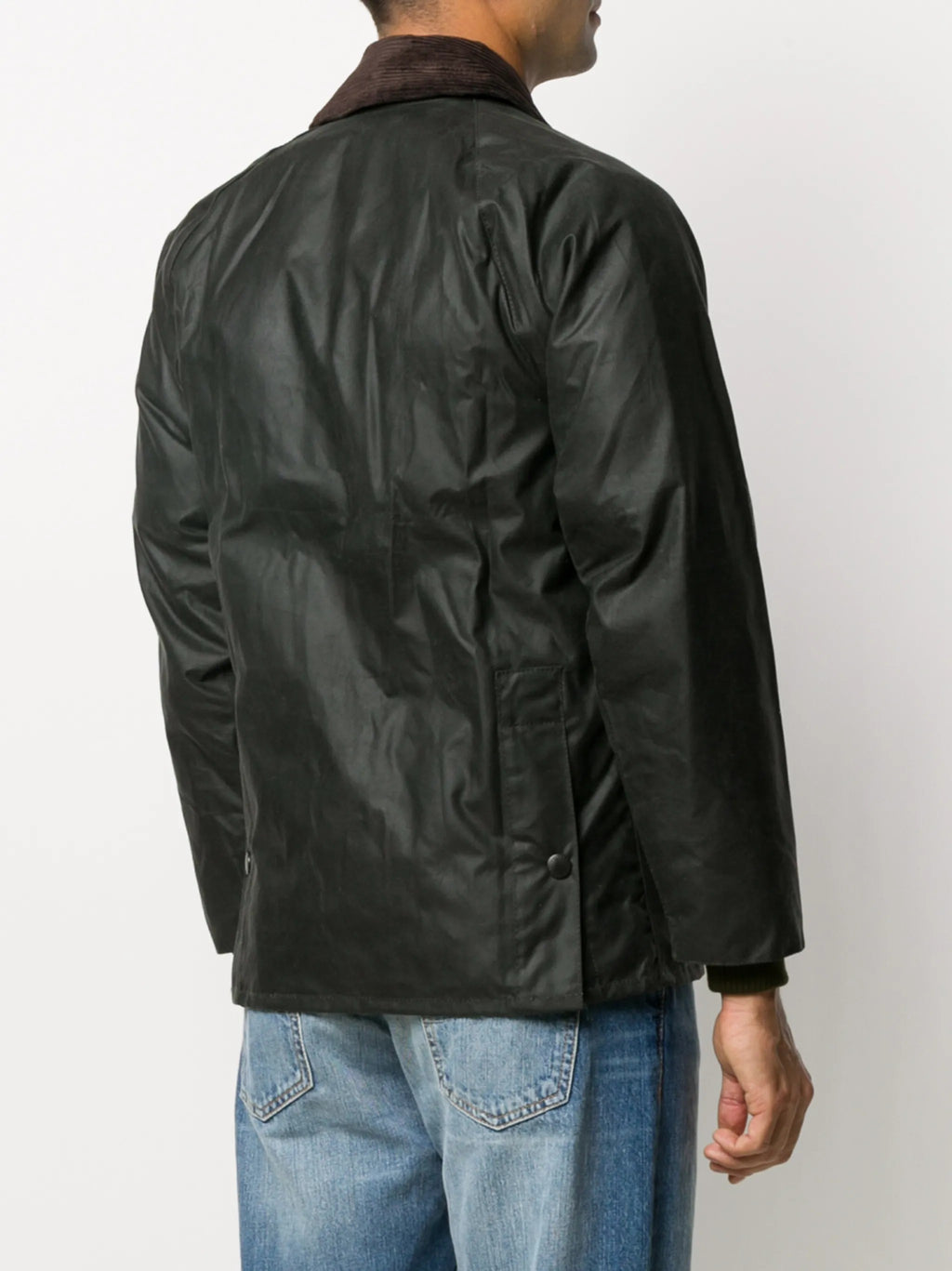 GIACCA Salvia Barbour