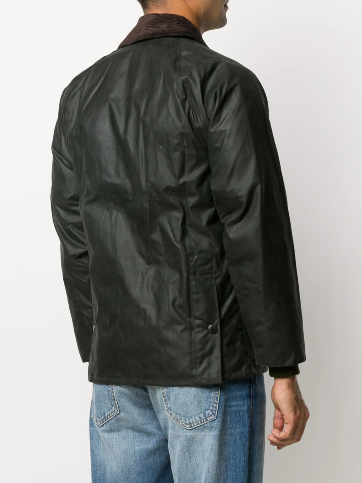 GIACCA Salvia Barbour